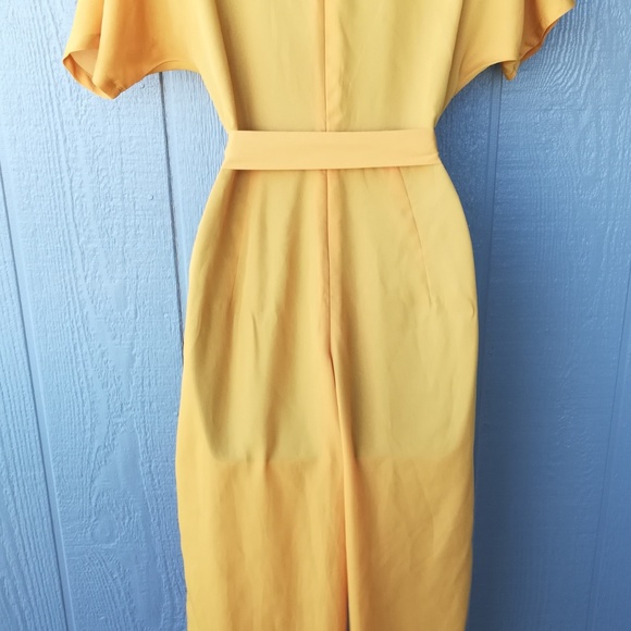 Plunge Neck Short Sleeve Sheer Wide Leg  Jumpsuit - Picture 7 of 7